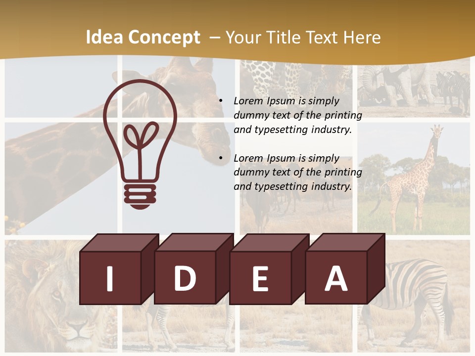 Lion Sunset Tiger PowerPoint Template