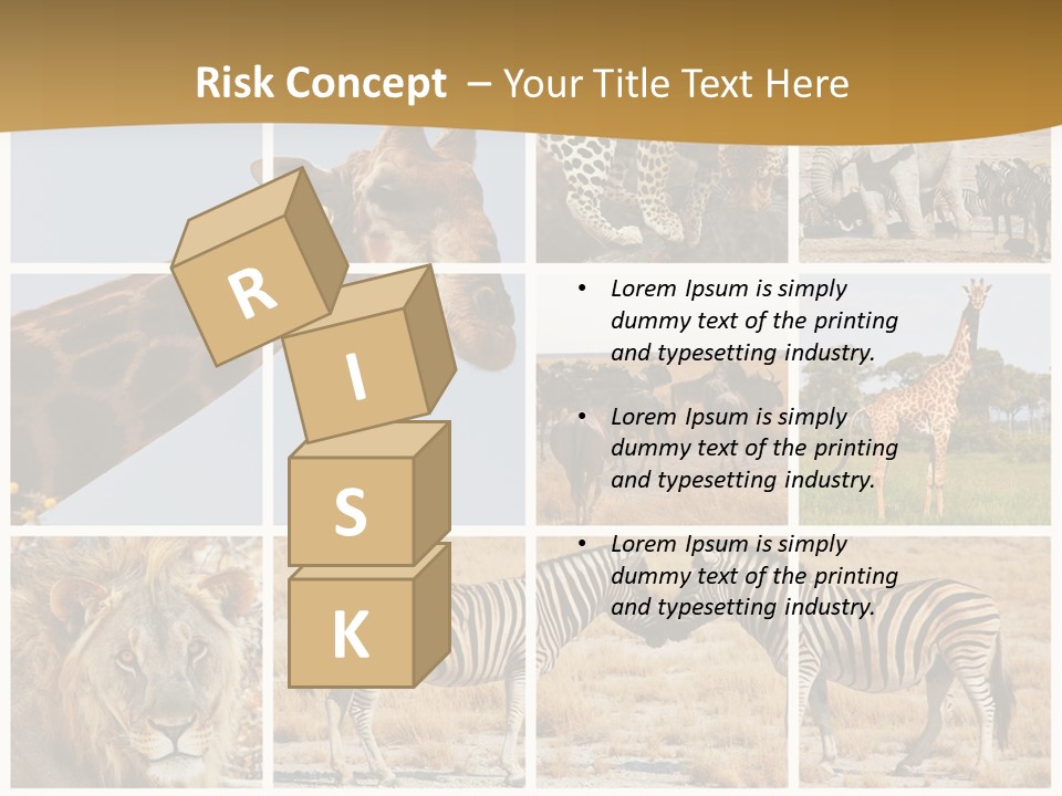 Lion Sunset Tiger PowerPoint Template