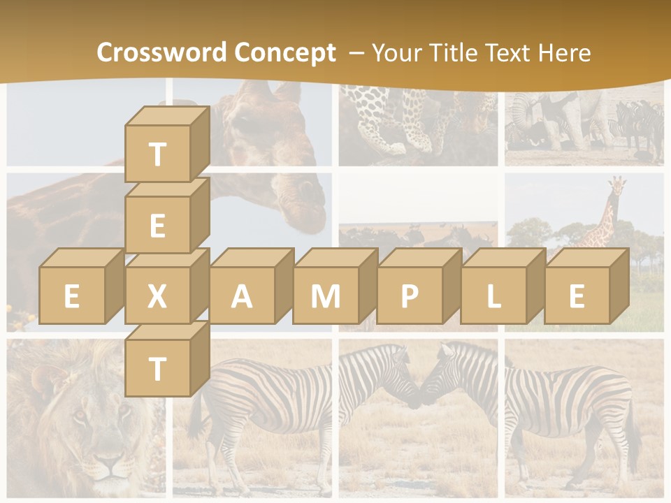 Lion Sunset Tiger PowerPoint Template