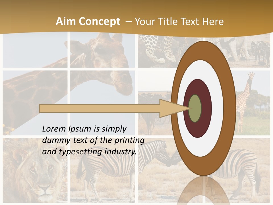 Lion Sunset Tiger PowerPoint Template