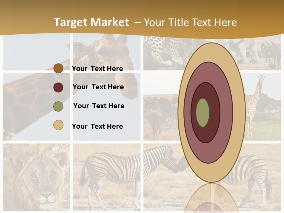 Lion Sunset Tiger PowerPoint Template