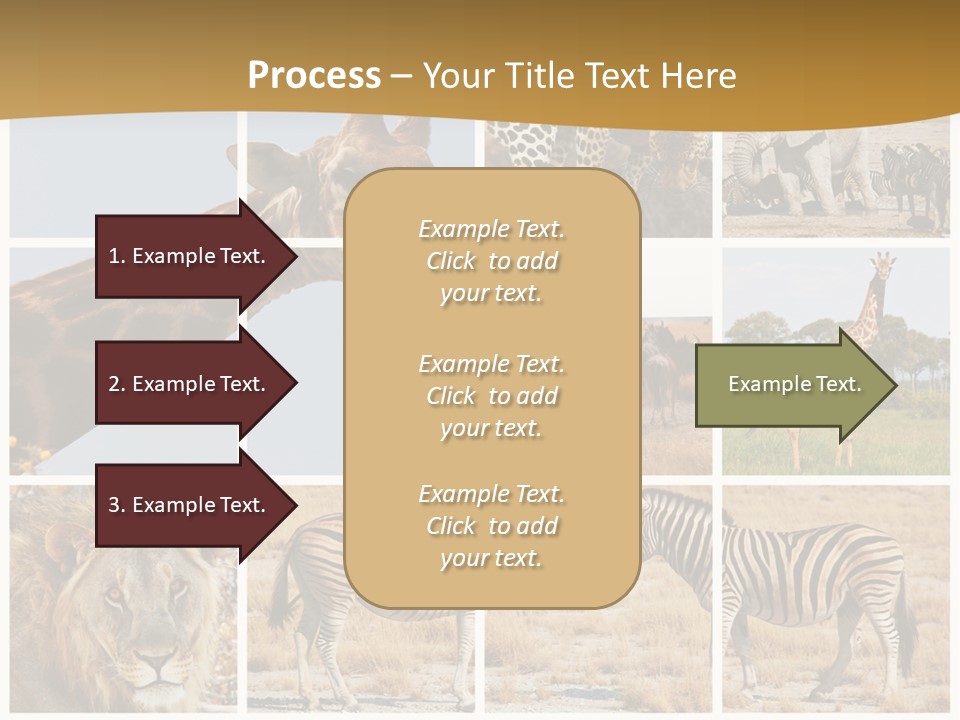 Lion Sunset Tiger PowerPoint Template