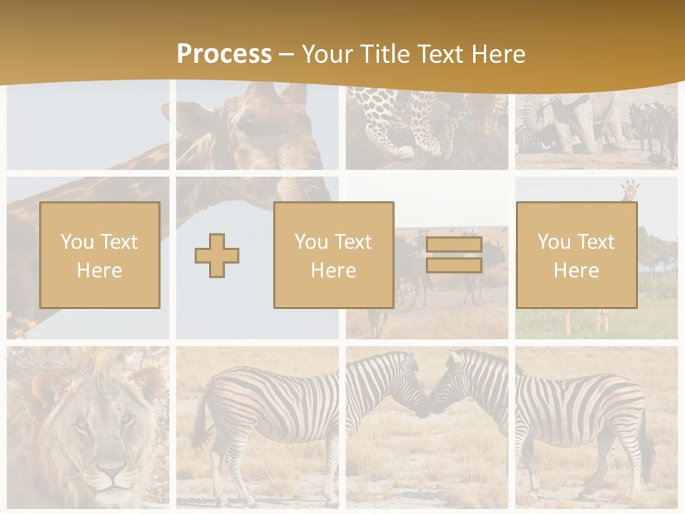 Lion Sunset Tiger PowerPoint Template
