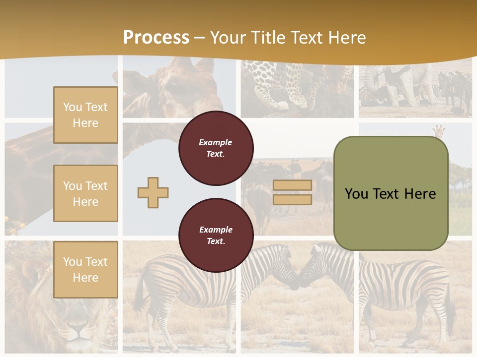 Lion Sunset Tiger PowerPoint Template