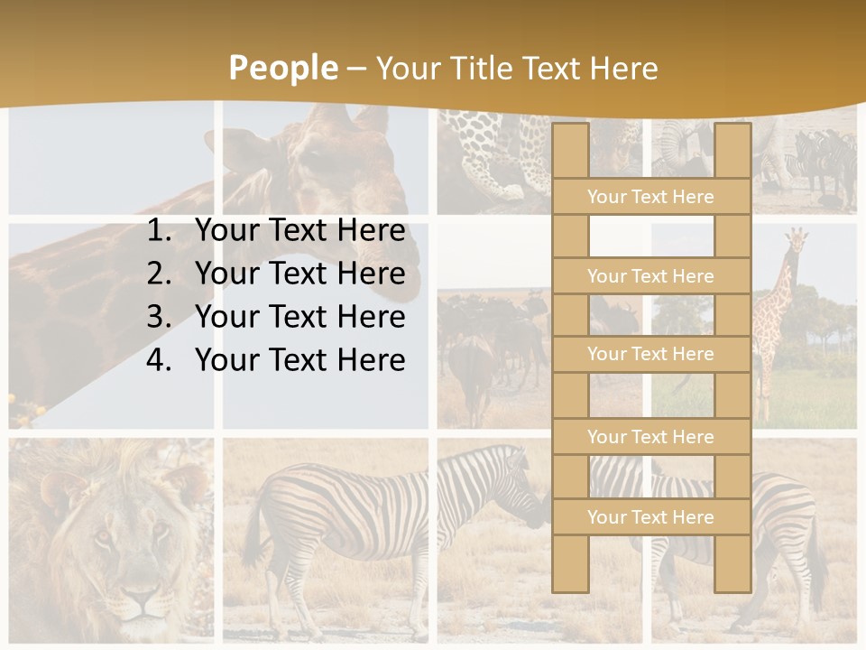 Lion Sunset Tiger PowerPoint Template