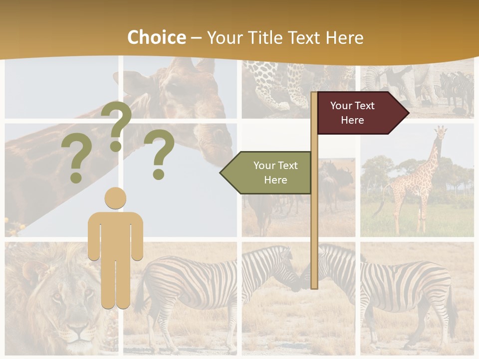 Lion Sunset Tiger PowerPoint Template