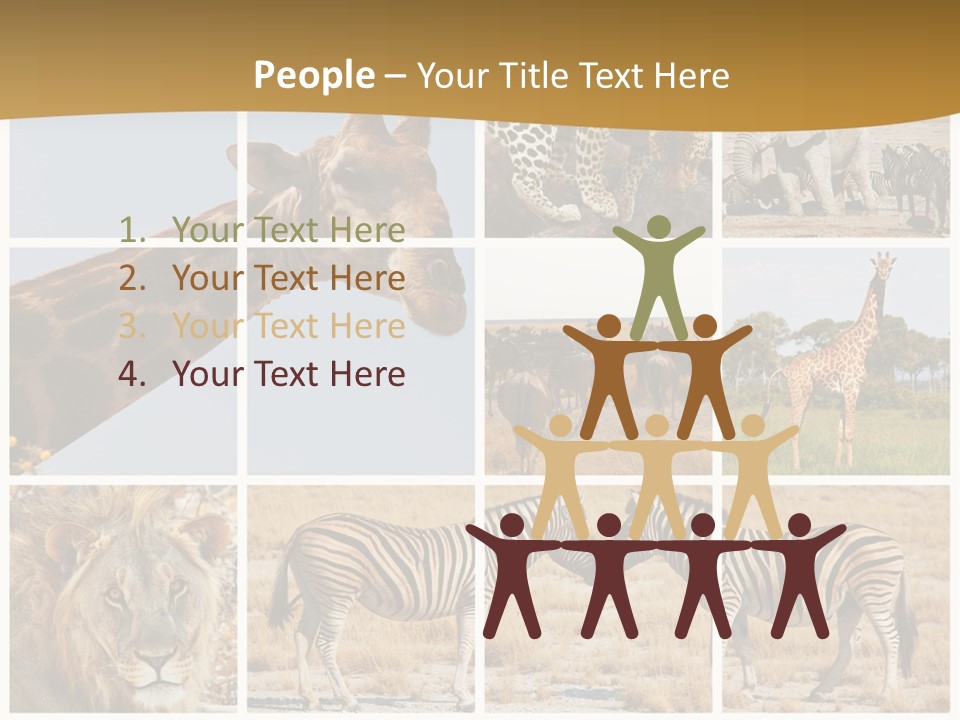 Lion Sunset Tiger PowerPoint Template