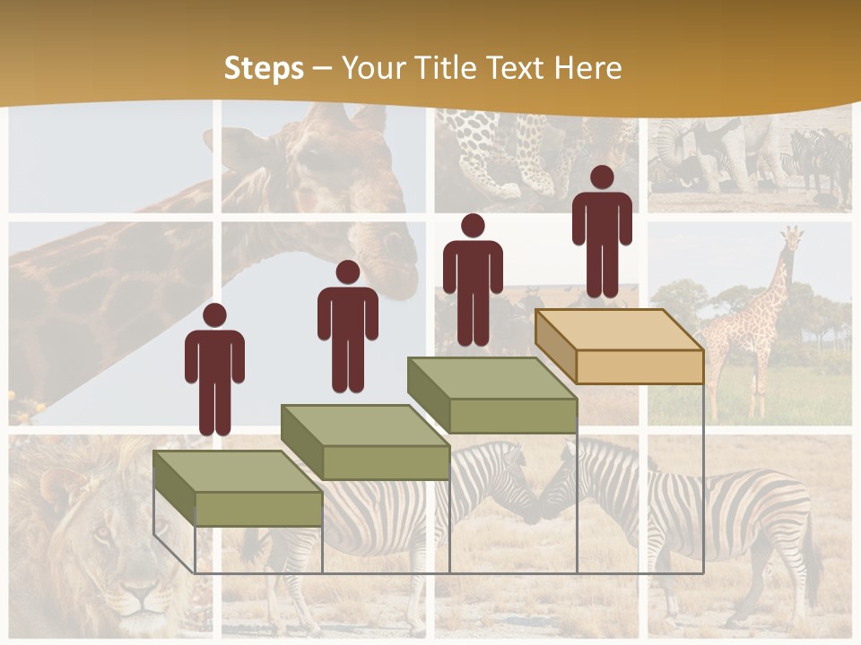 Lion Sunset Tiger PowerPoint Template