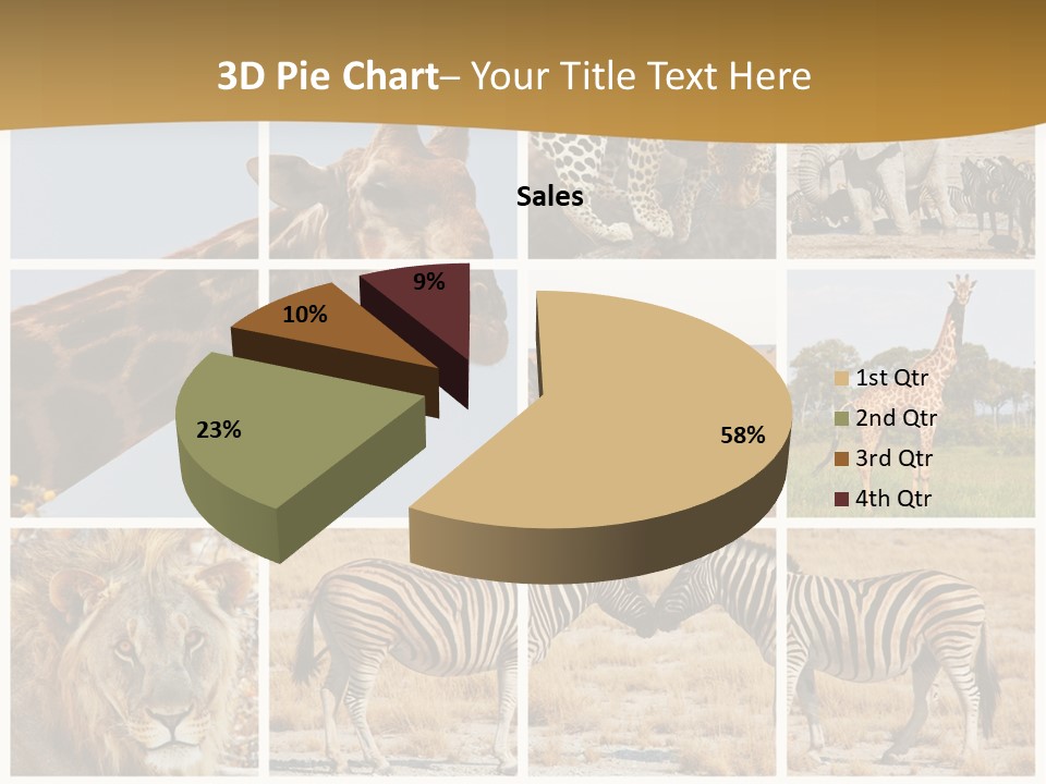 Lion Sunset Tiger PowerPoint Template