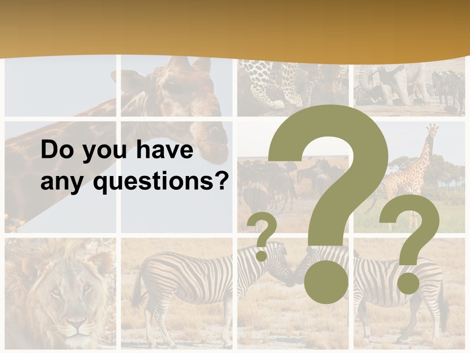 Lion Sunset Tiger PowerPoint Template