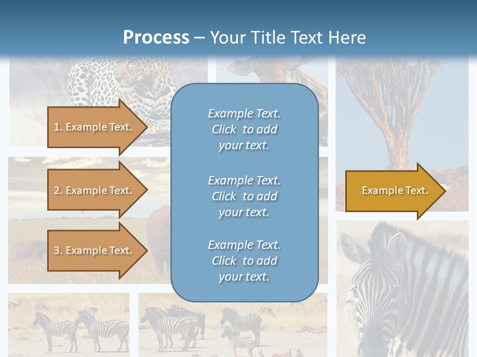 Roar Killer Concept PowerPoint Template