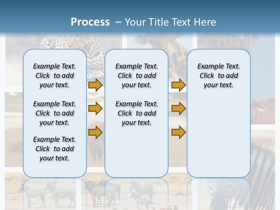 Roar Killer Concept PowerPoint Template