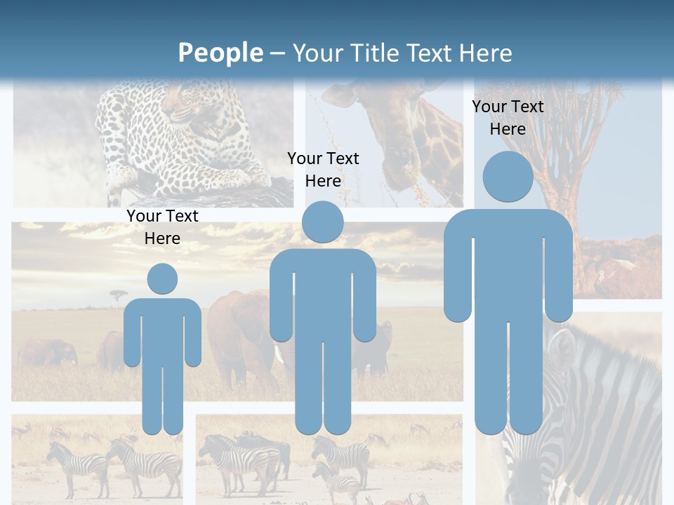 Roar Killer Concept PowerPoint Template