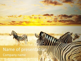 Shared Composite Silhouette PowerPoint Template