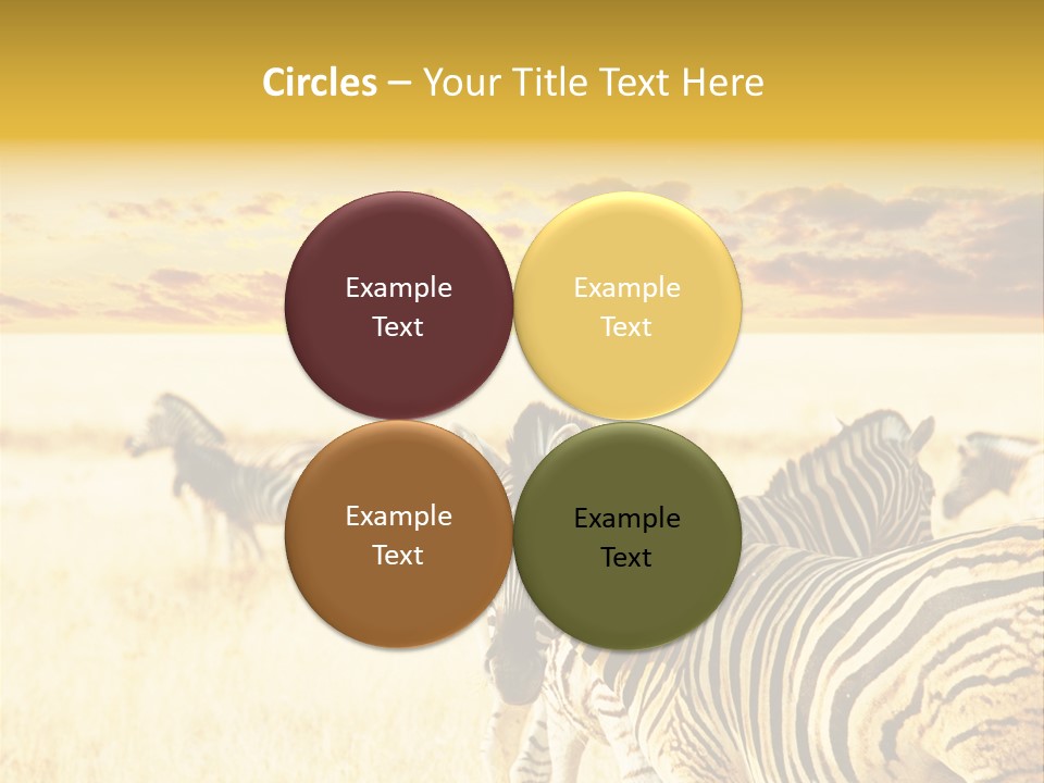 Shared Composite Silhouette PowerPoint Template