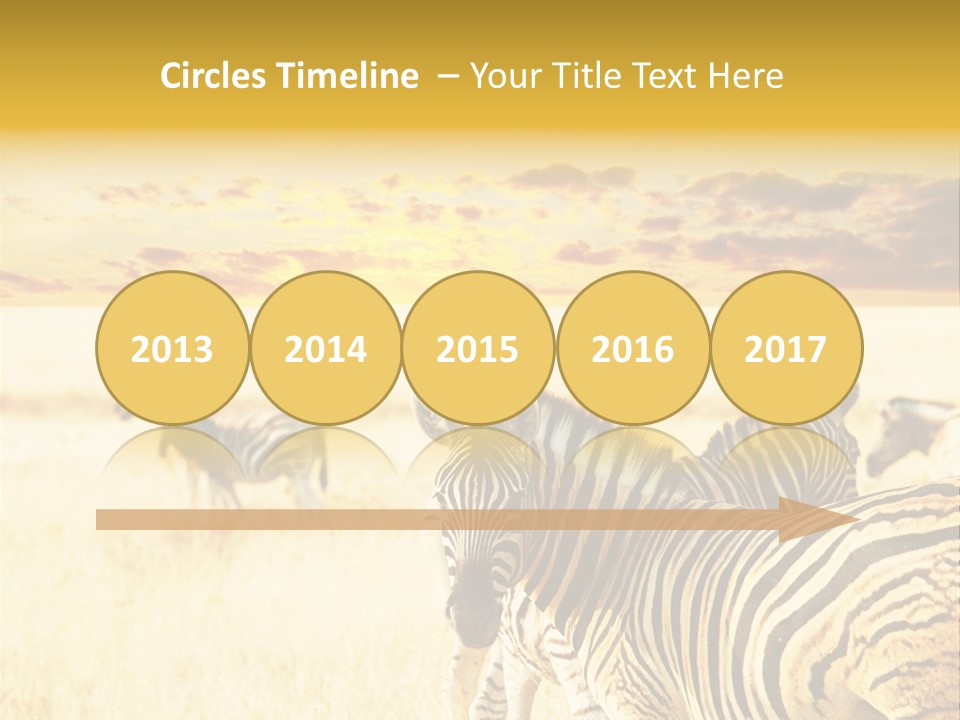 Shared Composite Silhouette PowerPoint Template