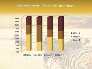 Shared Composite Silhouette PowerPoint Template