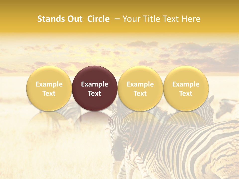 Shared Composite Silhouette PowerPoint Template