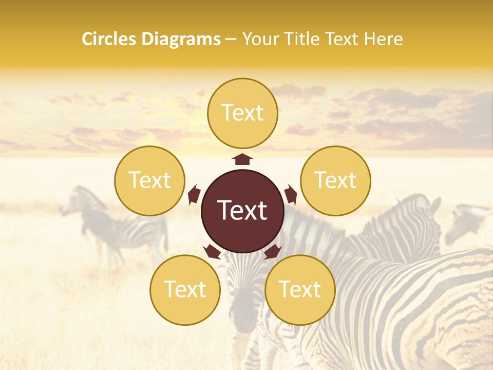 Shared Composite Silhouette PowerPoint Template