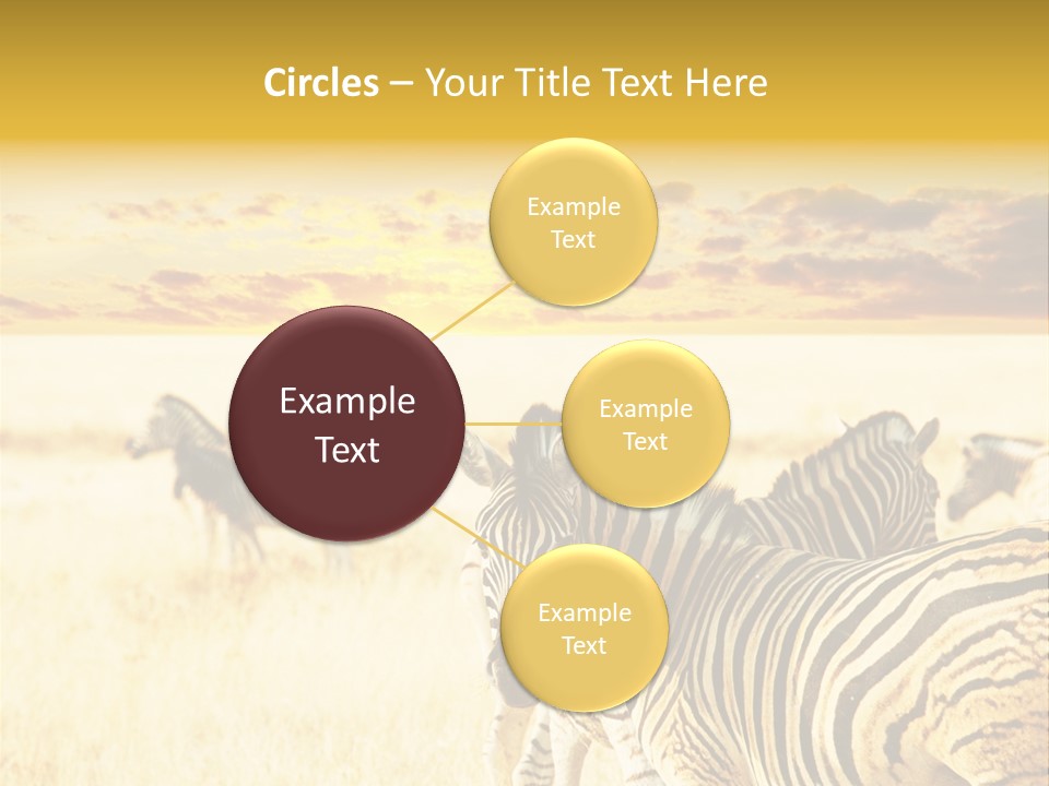 Shared Composite Silhouette PowerPoint Template