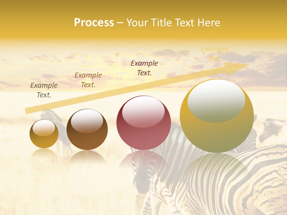 Shared Composite Silhouette PowerPoint Template