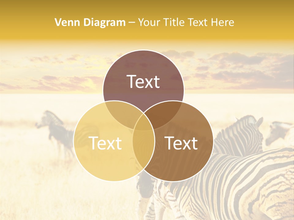 Shared Composite Silhouette PowerPoint Template