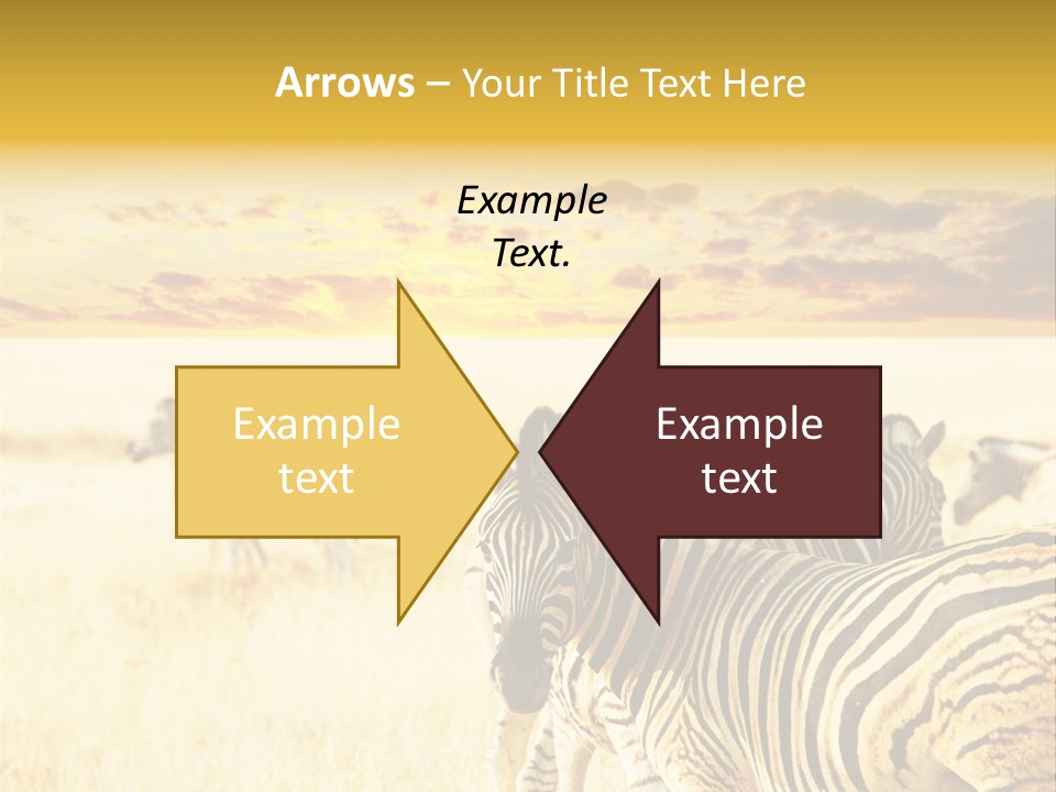 Shared Composite Silhouette PowerPoint Template