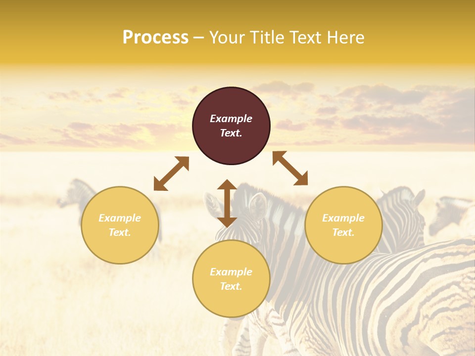 Shared Composite Silhouette PowerPoint Template