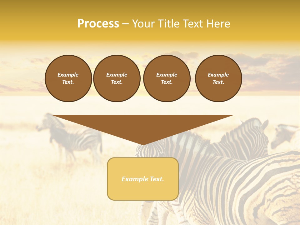 Shared Composite Silhouette PowerPoint Template