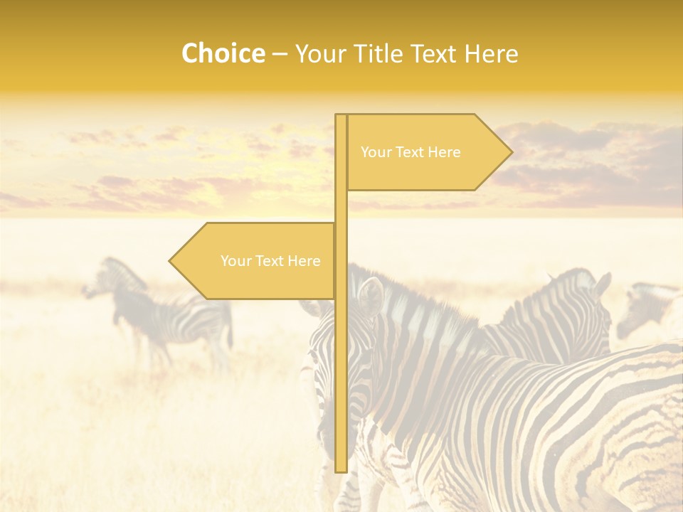 Shared Composite Silhouette PowerPoint Template