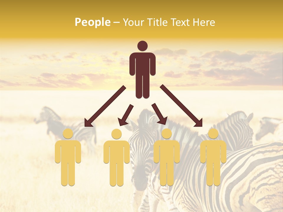 Shared Composite Silhouette PowerPoint Template