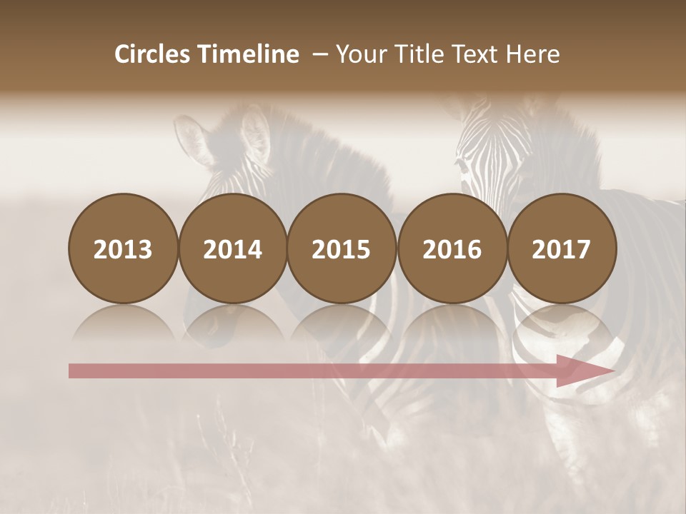 Protection Tiger Reservation PowerPoint Template