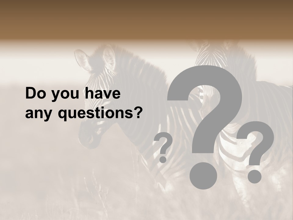 Protection Tiger Reservation PowerPoint Template