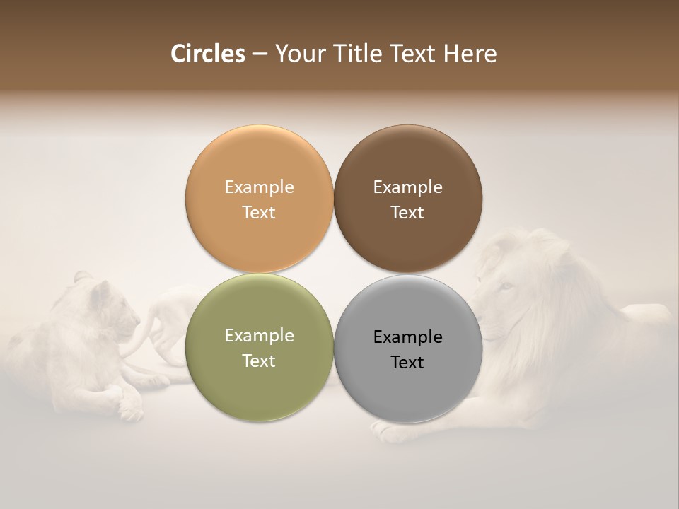 Hunter Creative Aggressive PowerPoint Template