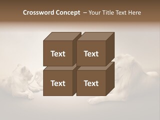 Hunter Creative Aggressive PowerPoint Template