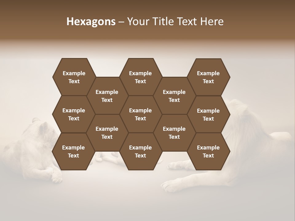 Hunter Creative Aggressive PowerPoint Template