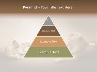 Hunter Creative Aggressive PowerPoint Template