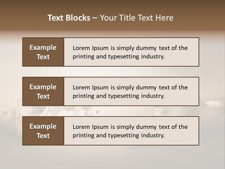 Hunter Creative Aggressive PowerPoint Template