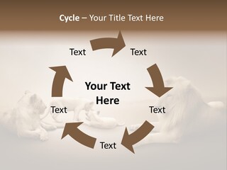 Hunter Creative Aggressive PowerPoint Template