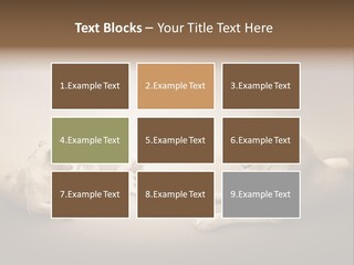 Hunter Creative Aggressive PowerPoint Template