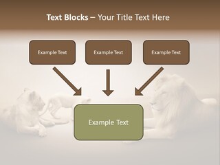 Hunter Creative Aggressive PowerPoint Template