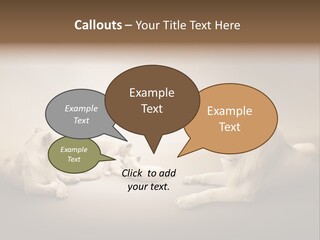 Hunter Creative Aggressive PowerPoint Template