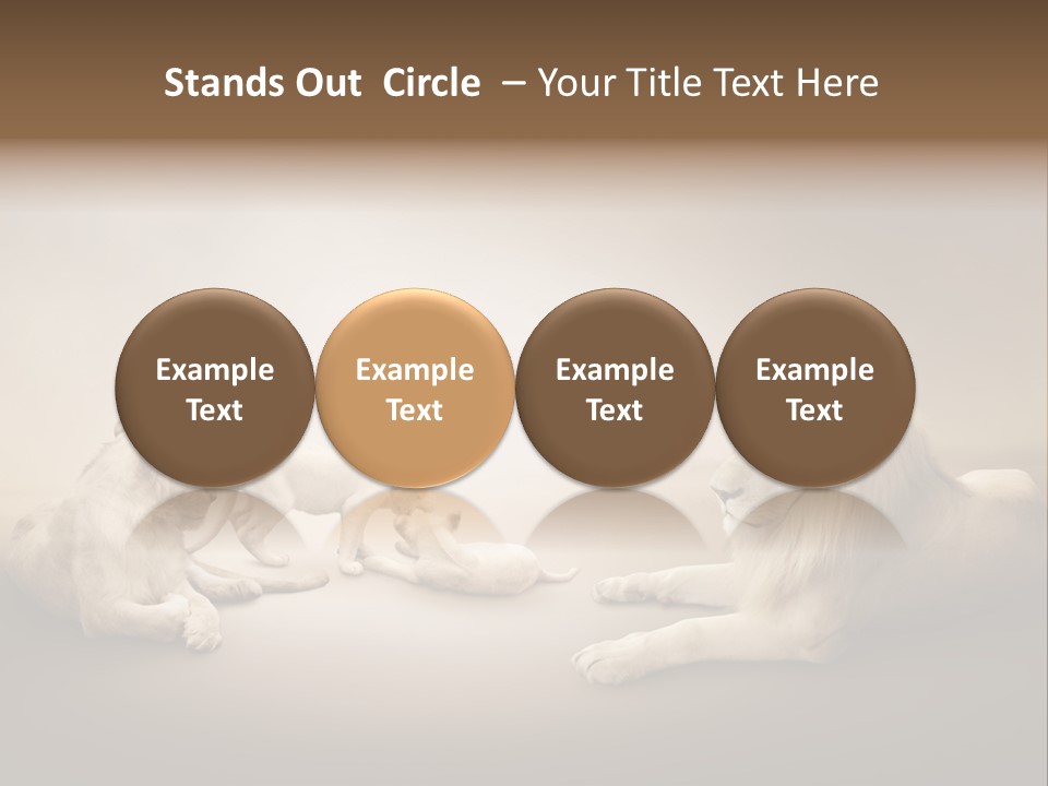 Hunter Creative Aggressive PowerPoint Template