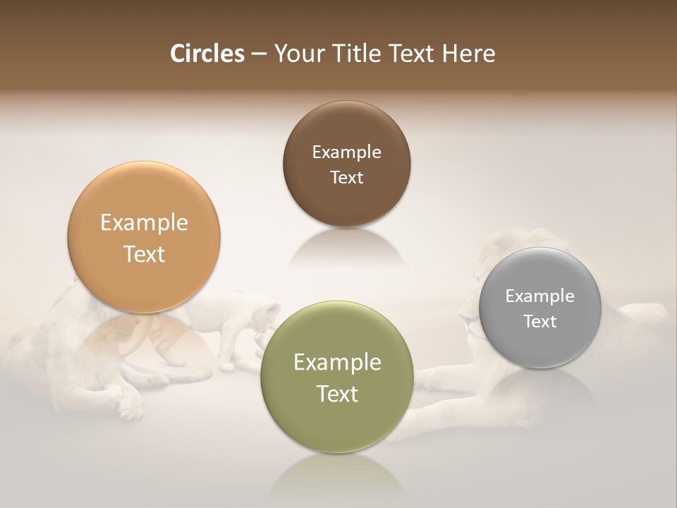 Hunter Creative Aggressive PowerPoint Template