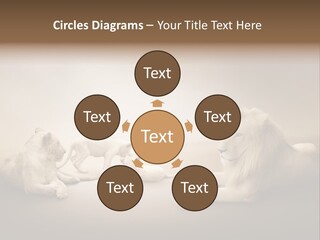 Hunter Creative Aggressive PowerPoint Template