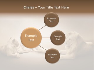 Hunter Creative Aggressive PowerPoint Template