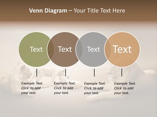 Hunter Creative Aggressive PowerPoint Template
