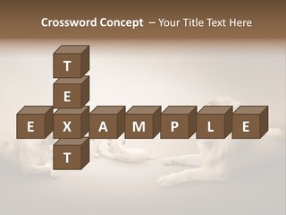 Hunter Creative Aggressive PowerPoint Template