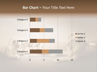 Hunter Creative Aggressive PowerPoint Template