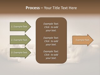Hunter Creative Aggressive PowerPoint Template